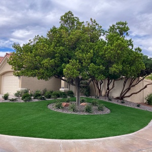 An Elegant Nevada Yard & Pet Area